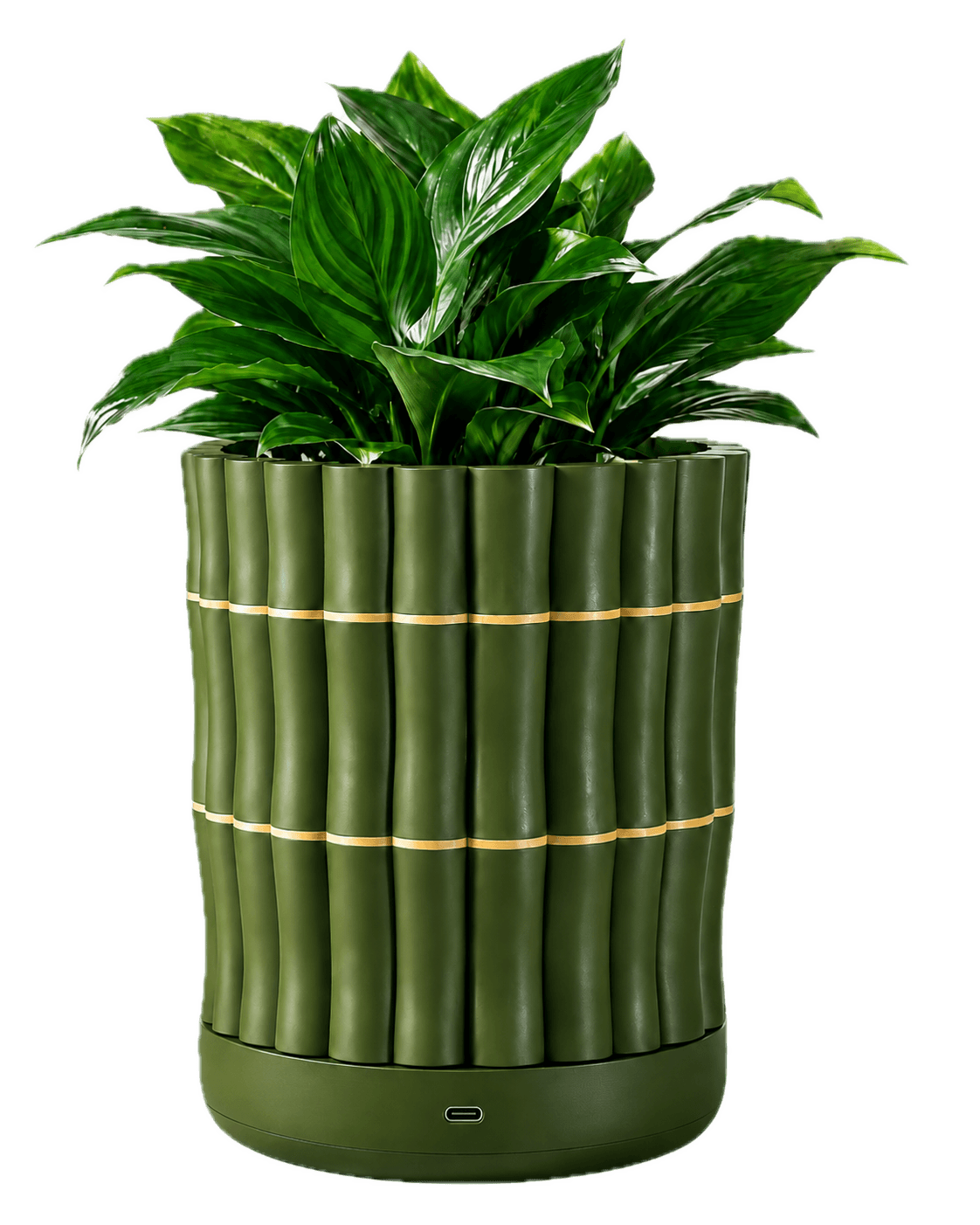 Chlora smart pot